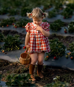 Cherry Check Linen Short Sleeve Frilled Collar Blouse with Curved Bodice