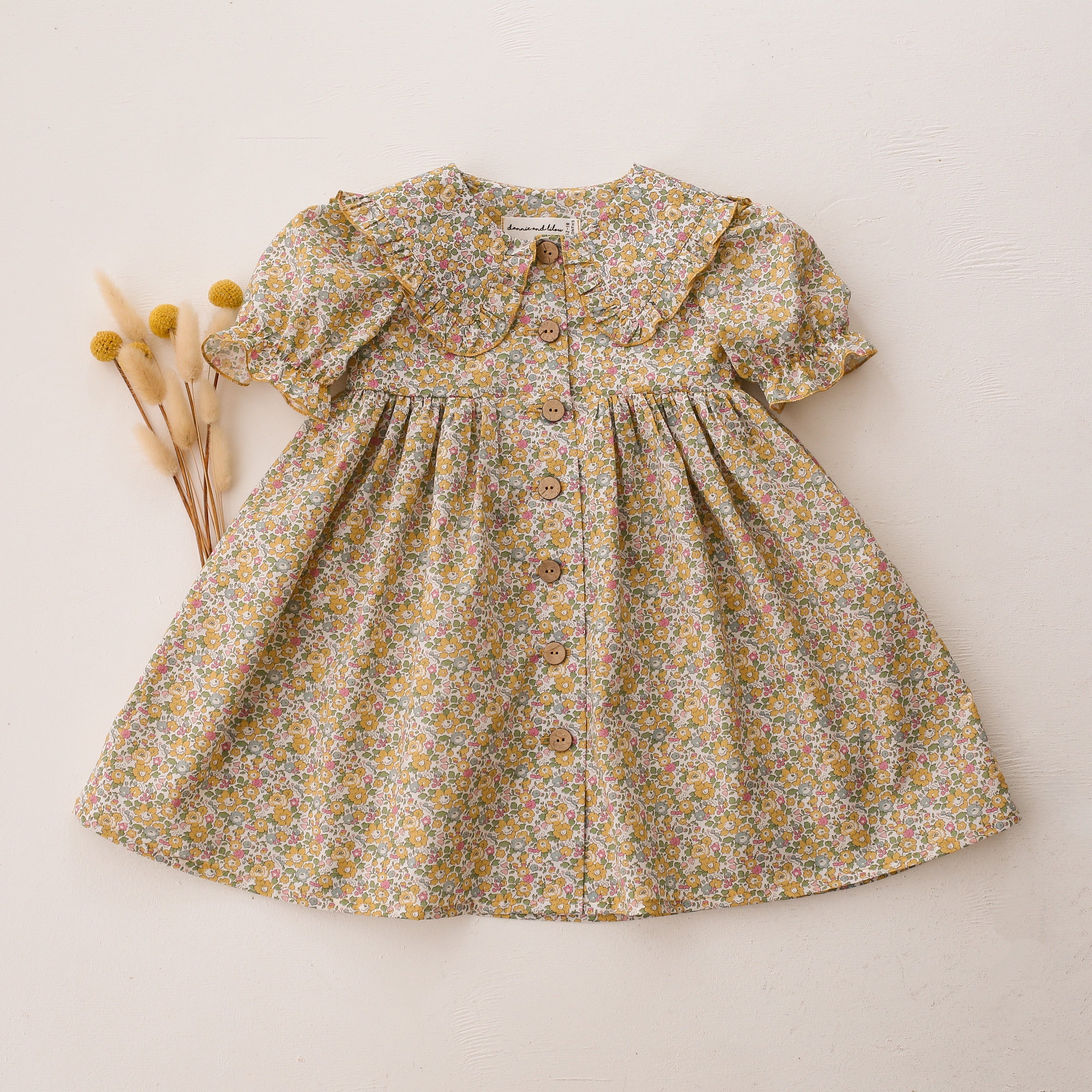Short Sleeve Frilled Collar Dress in Betsy Ann Liberty Print