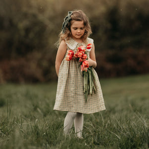 Green Gingham Linen Pointed Collar Dress with Lace