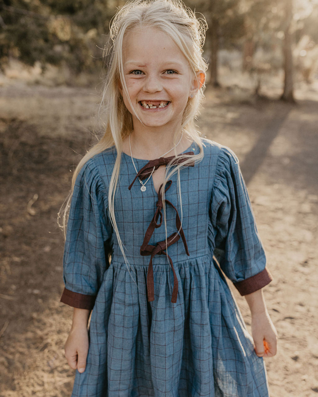 Woodland Sky Check Linen Puff Sleeve Bow Dress with Chocolate Plum Accent Color