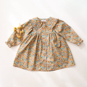 Long Sleeve Frilled Collar Button Front Dress in Sandra Liberty Print