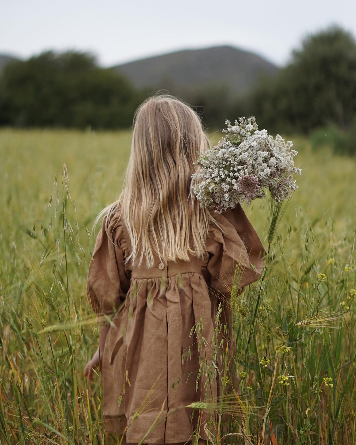 Clay Linen Puff Sleeve Dress