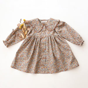 Long Sleeve Frilled Collar Dress in Ava Liberty Print