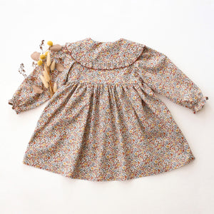 Long Sleeve Frilled Collar Dress in Ava Liberty Print