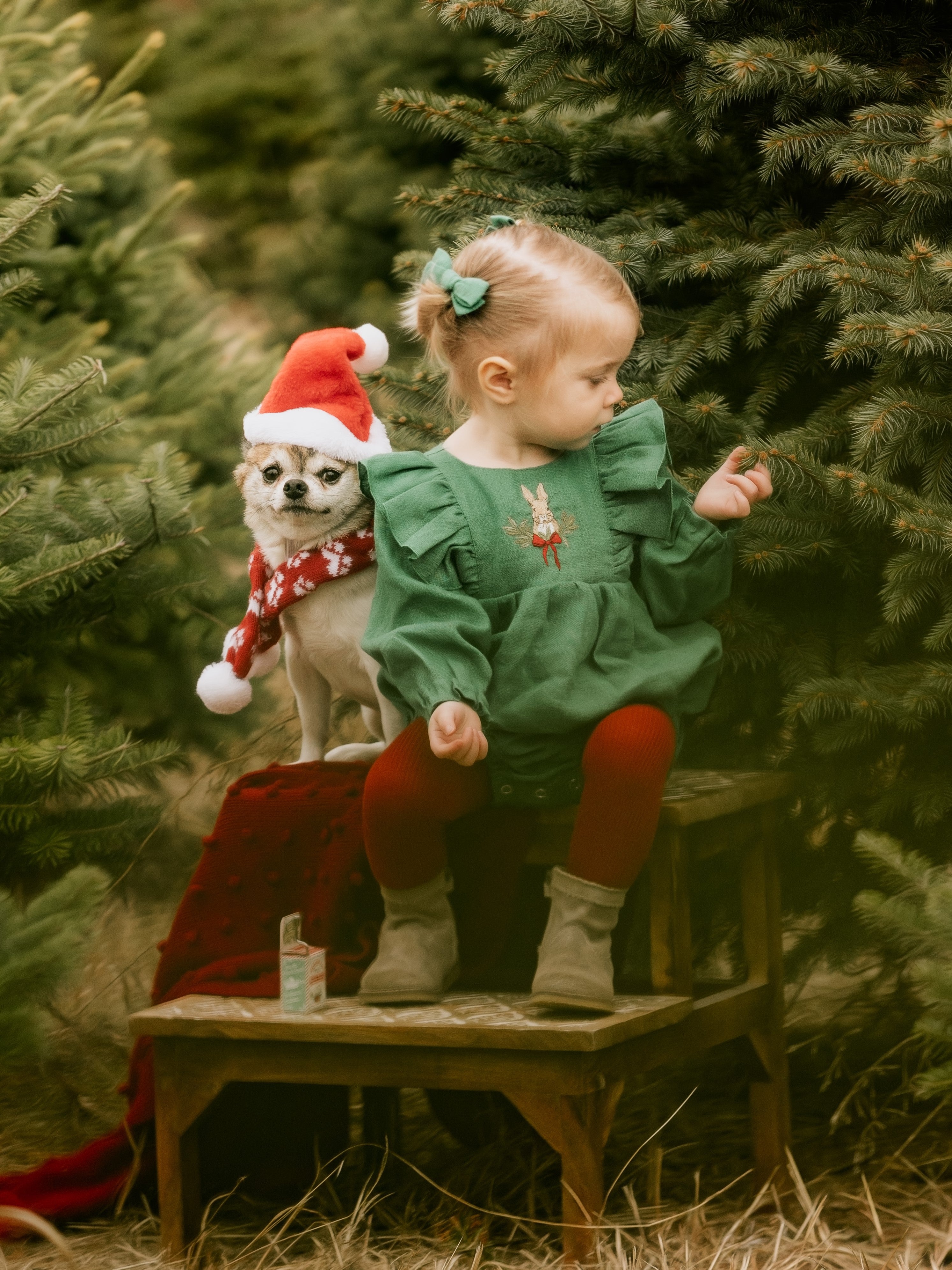 Emerald Green Linen Long Sleeve Ruffle Bubble Playsuit with "Christmas Bunny" Embroidery